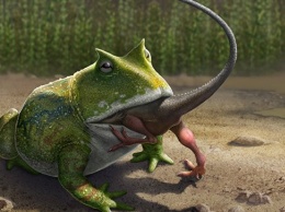 "Дьявольская" лягушка оказалась способна пожирать динозавров