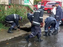 Ильичевские спасатели вытащили из ямы застрявших щенков