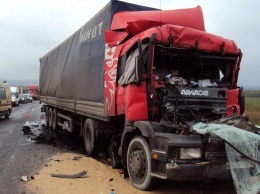 На трассе под Запорожьем произошло лобовое столкновение двух грузовиков