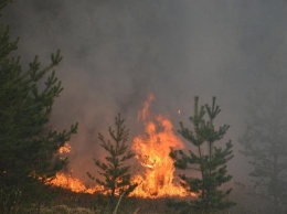 На Днепропетровщине произошло более сотни пожаров
