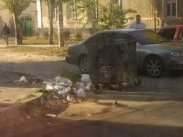 В Херсоне мусор выбрасывают на проезжую часть