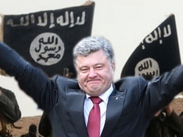 На Украине террористов ИГИЛ объявили "отважными повстанцами"