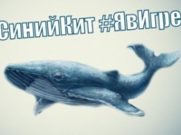 Очередные жертвы "Синего кита" - задержан куратор "групп смерти"