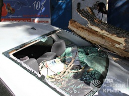 В Симферополе упавшее дерево "покалечило" четыре автомобиля