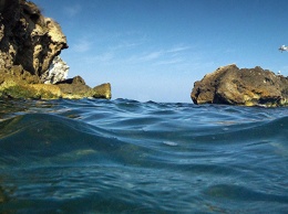 У побережья Крыма сокращается популяция водорослей, вырабатывающих кислород