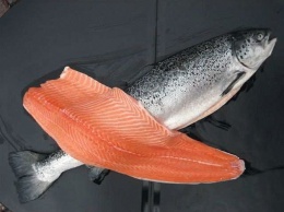 Норвежский лосось оказался самой токсичной едой в мире