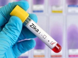 Немецкие ученые оспорили китайское открытие механизма действия вируса Зика