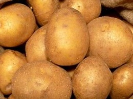 "Вимал" планирует запустить третий завод по производству картофельного крахмала в сентябре 2018г