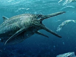 Диета Юрского периода: Палеонтологи изучили рацион питания древних морских обитателей