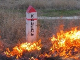 За сжигание листвы предусмотрен штраф 8500 гривен и ограничение свободы