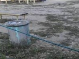На Тополе полиция задержала несовершеннолетнего вандала с подельниками (ФОТО)
