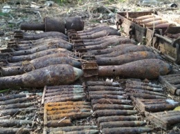 Грибники наткнулись на 50-килограммовые бомбы и арсенал мин