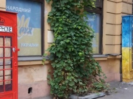 В центре Одессы сепаратисты напали на телефонный шкаф (ФОТО)