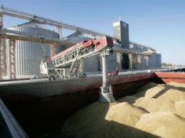 В России задумали ввести компенсации на перевозку зерна в порты по железной дороге