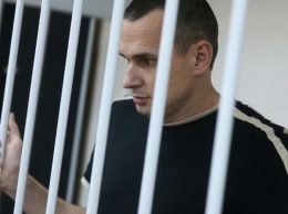 Правозащитник: Этапируя Сенцова, оккупанты хотят его «приструнить»
