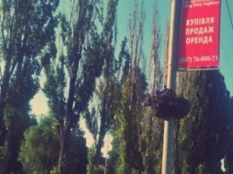 В Бердянске снесут незаконно установленную наружную рекламу