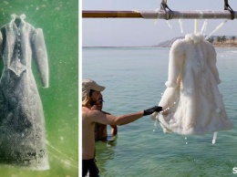 Художник бросил платье в Мертвое море на 2 года. Получился шедевр!