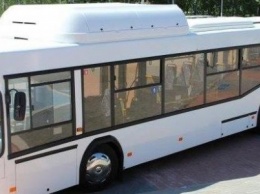 "Модель сырая!", - эксперт сомневается в надежности новых автобусов, закупаемых для Кривого Рога