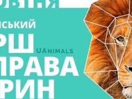 В воскресенье в Одессе можно было выйти за пса, кота и цирковую живность (ФОТО)