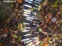 В лесополосе Кривого Рога у двух мужчин изъяли 12 шприцев с опием