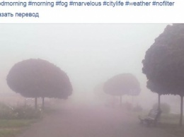 В сети появились фото утреннего тумана в Запорожье