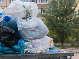 Жители жилмассива Парус недовольны переполненными мусорными баками