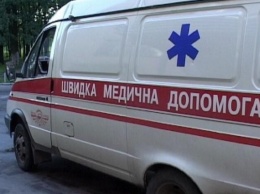 Суд арестовал автобус "Москва-Николаев", сбивший пешехода насмерть