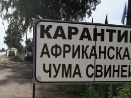 В Николаевской области из-за АЧС ввели карантин
