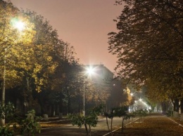 В Покровске придумали как бороться с проблемой сжигания листьев