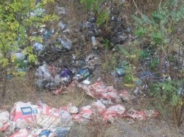 Лес в Херсонской области завален мусором