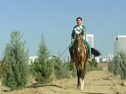 Как гопник в адидас! Президент Туркменистана на лошади проехался по Ашхабаду