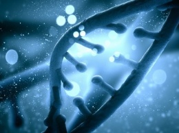 Ученые доказали влияние космоса на гены человека