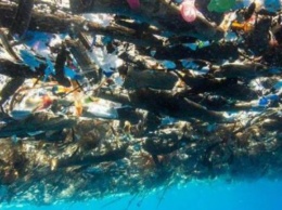 В Карибском море обнаружили плавучий остров из мусора (фото, видео)