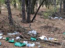 Херсонские военные оставили горы мусоры в Олешковских лесах