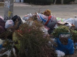 Обстановка с мусором в Херсоне ухудшается самими горожанами
