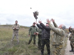 В Запорожской области выпустили несколько сотен фазанов (ФОТО)