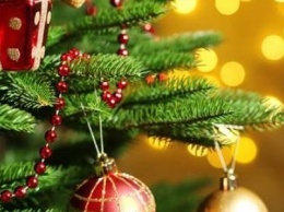 На Новый год и Рождество каменчане получат шесть выходных