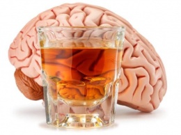 Алкоголь, мозг и возраст