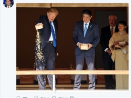 Не хватило терпения. Трамп оконфузился во время кормежки императорских карпов в Японии. Фото