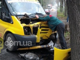 ДТП в Каменском: Ford Transit врезался в дерево