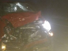 Серьезная авария на трассе "Одесса-Рени": автомобиль в щепки разнес телегу, есть жертвы