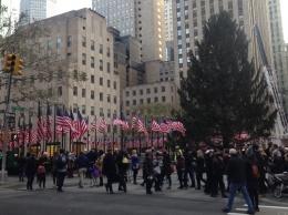 Главную рождественскую елку установили в Нью-Йорке
