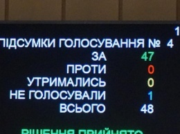 Депутаты горсовета "по-криворожски" поддержали петицию о закупке "кибер-ножа" (ФОТО)