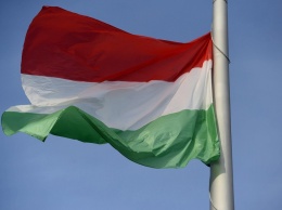 В Берегово хотели сжечь флаг Венгрии: Будапешт просит разобраться