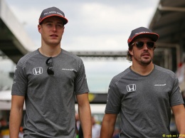Гонщики McLaren поддержали решение Pirelli