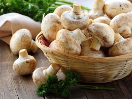 Украина увеличила экспорт грибов в 50 раз