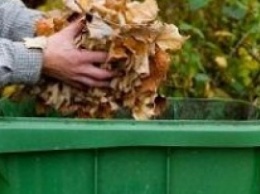 Краматорчане так и не научились не выбрасывать листья в мусорные контейнеры