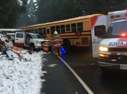 В Канаде грузовик влетел в школьный автобус (фото)