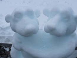 Выставка цветов в ледяных глыбах и снежных скульптур открылась на Певческом поле
