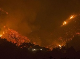 Пожар в Калифорнии признан крупнейшим в истории штата